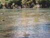 Ilona van Vliet, South Platte River, 24 Sep 2009